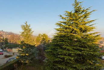 Villa singola in affitto