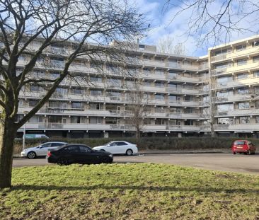 Appartement Planetenlaan 431, Groningue - À louer - Foto 1
