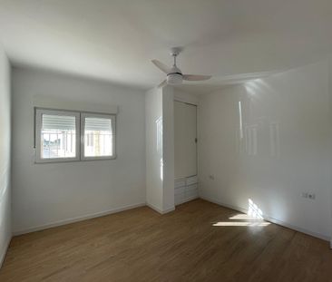 Planta baja de alquiler en Albufera, Alfafar - Photo 4