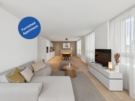 Möblierte Apartments mit Madrid Flair direkt im grössten Shoppingcenter der Schweiz! - Foto 3