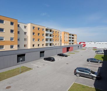 WIENER NEUSTADT VIII/3 - Foto 4