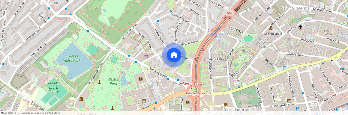 127 Mitchell Street, Crookesmoor