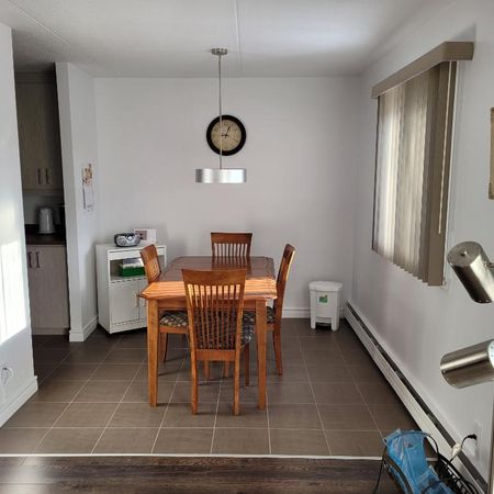 TRÈS GRAND 4 1/2 EN COIN, ENTIÈREMENT RÉNOVÉ, 1295$/MOIS(CHAUFFÉ-EAU CHAUDE), DISPONIBLE À PARTIR DE OCTOBRE OU NOVEMBRE - Photo 4