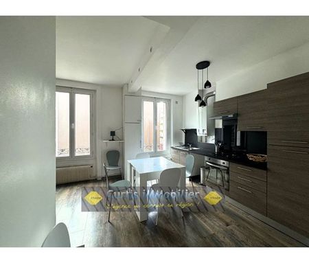 Location Appartement 2 pièces 45m² ST ETIENNE 42000 - Photo 4