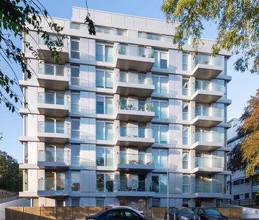 Central Park - Photo 5