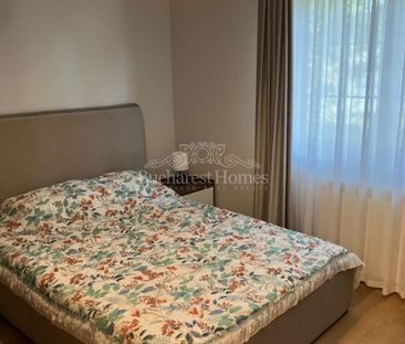 Large, Furnished, Five-Bedroom House - BSB - Photo 6