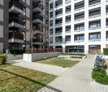 Poznań, Gąsiorowskich - Zdjęcie 5