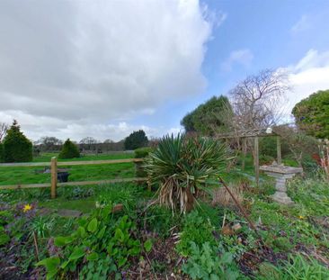 1 bedroom semi-detached bungalow to rent - Photo 3