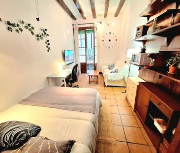 Carrer Ample, Barcelona, Catalonia 08002 - Photo 5