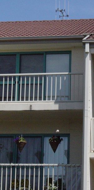 53/55 McMillan Crescent, Griffith ACT 2603 - Apartment For Rent | Domain - Photo 1