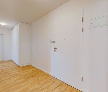 Apartment - Photo 6