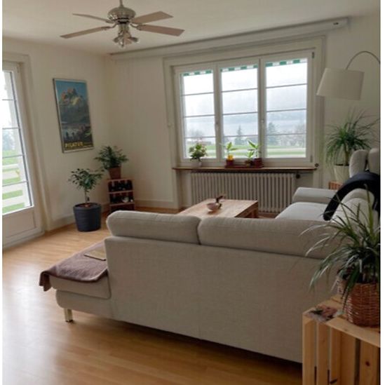 2½ Zimmer-Wohnung in Küssnacht am Rigi (SZ), möbliert, auf Zeit - Foto 1