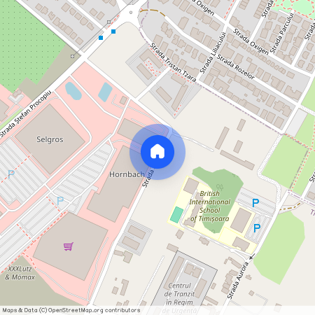 Timisoara, Timis