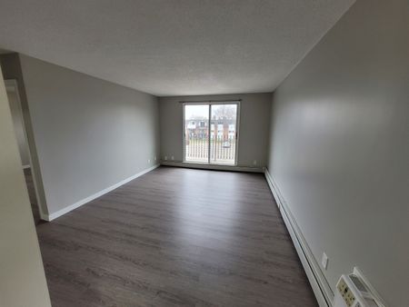 3609 Chaben Place - Photo 4