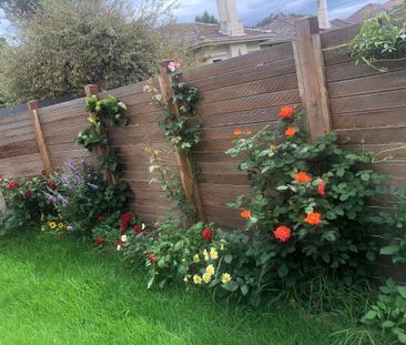 Malvern East - Photo 3