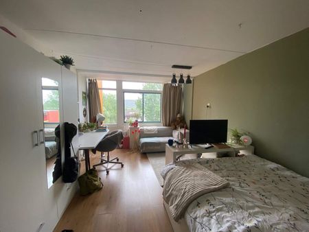 Chambre meublée Van Hasseltlaan, Delft - À louer - Foto 2