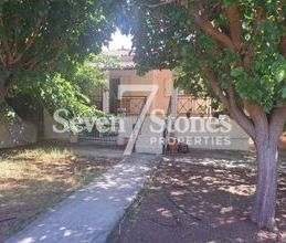 Διαμέρισμα για ενοικίαση - Ωρωπός, - Photo 6