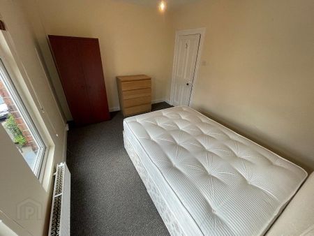 3 St Albans Gardens, Belfast, BT9 5DR - Photo 5