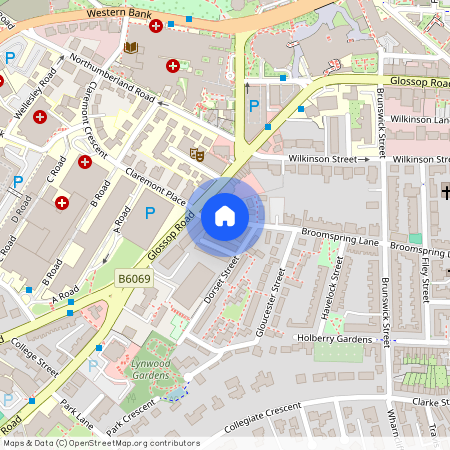 Broomspring Lane, Sheffield, S10