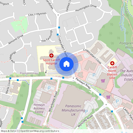 Dartington Drive, Pontprennau, Cardiff, CF23