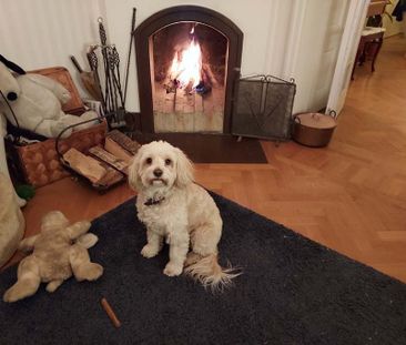 Västmannagatan, Stockholm - Photo 3