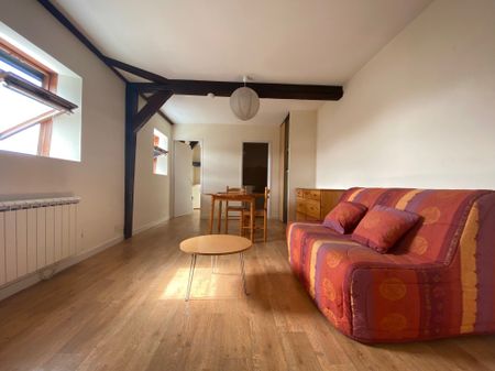 Location Appartement 1 pièce 29m² SAUMUR 49400 - Photo 3