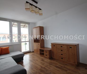 Kazimierza Wielkiego, Włocławek - Zdjęcie 5