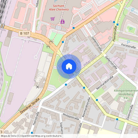 Palmstraße 8, 09130 Chemnitz