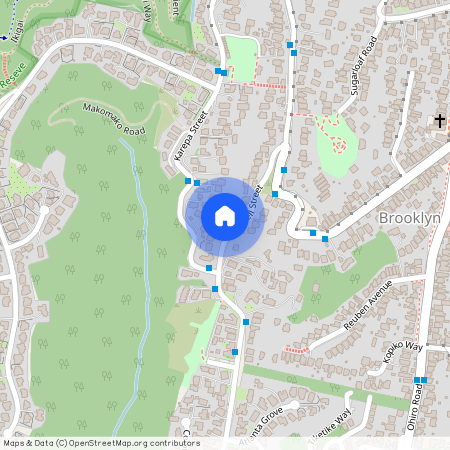 94 Mitchell St, Brooklyn, Wellington City