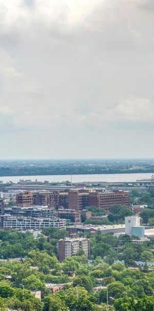 3 1/2 - 4000 De Maisonneuve Blvd. West, Montréal - Photo 1