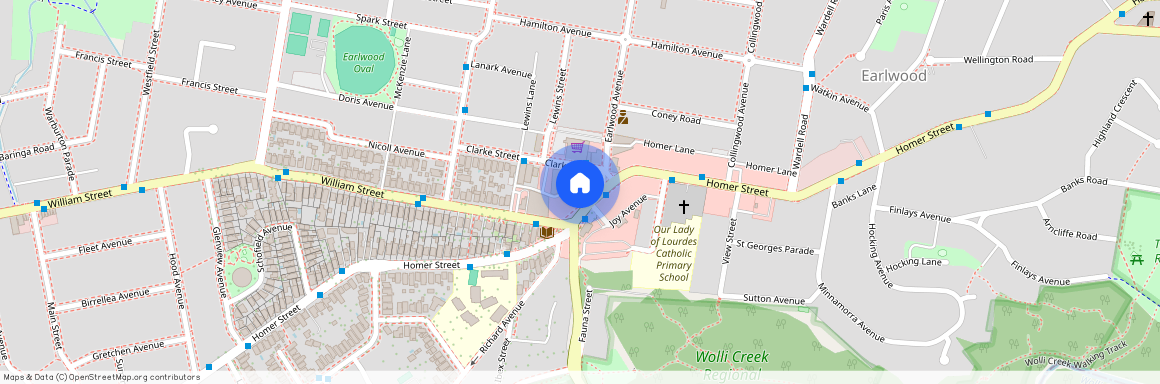 359 Homer Street, NSW 2206, Earlwood