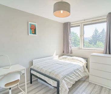 117 Candy Street – Room 4 - Photo 4