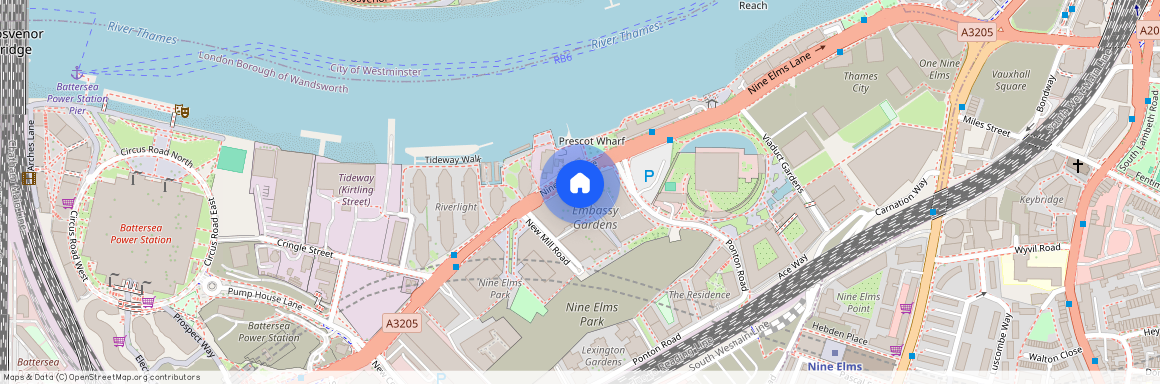 Capital Building, Embassy Gardens SW11