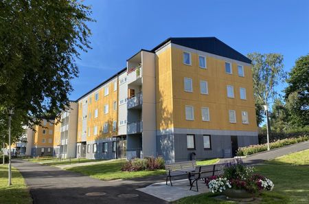 Hagängsvägen 18 - Foto 4