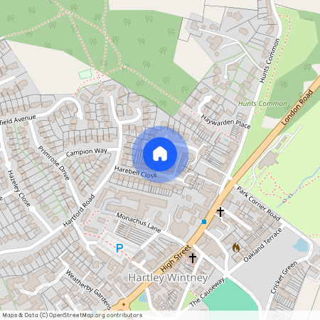 Harebell Close, RG27