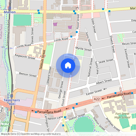 58A Flood Street, Leichhardt