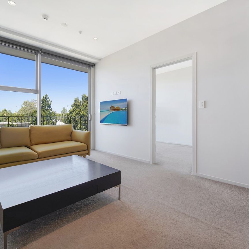 Modern 2-Bedroom Apartment in Prime Old Albany Location - Photo 1