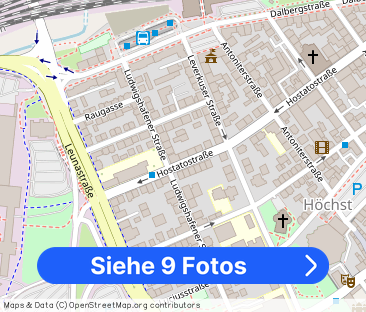 Hostatostr. 36, 65929 Frankfurt am Main OT Höchst - Foto 1