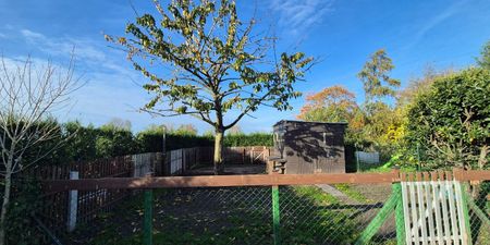 Woning te huur in Sleidinge voor € 1.050 met 3 slaapkamers - Photo 5