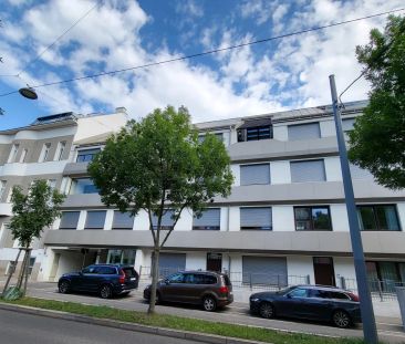 Sonnige 2-Zimmer-Wohnung - Klimaanlage - Sehr guter, gepflegter Zus... - Photo 6