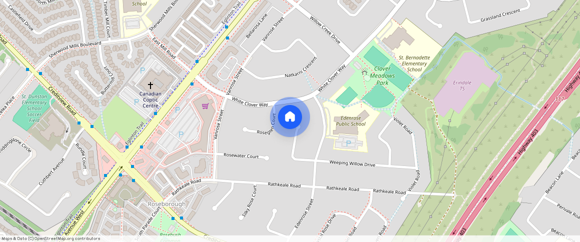 1325 Beauty Bush Court Unit# Bsmt, Mississauga