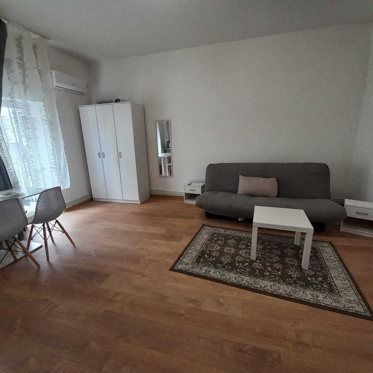 Iancului pet friendly etaj 1 vila - Photo 1