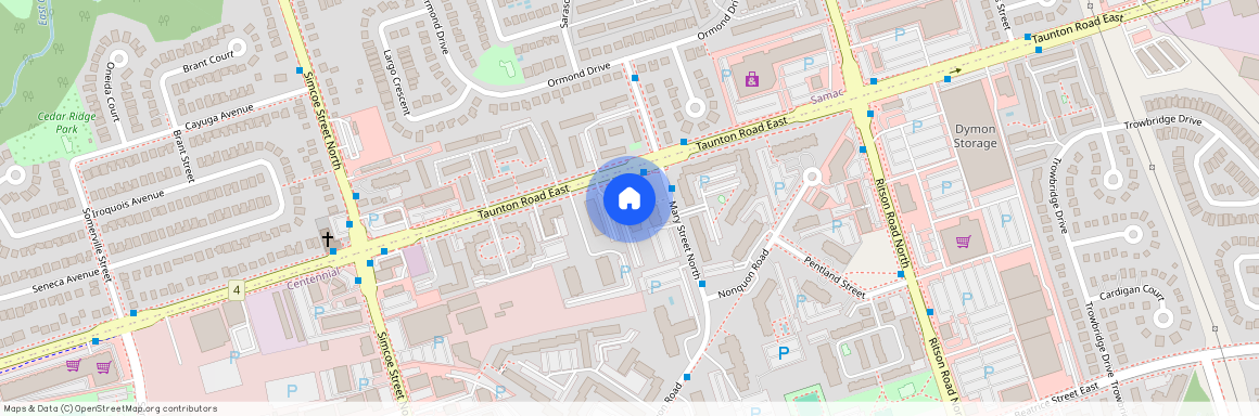 141 Taunton Rd E, Oshawa