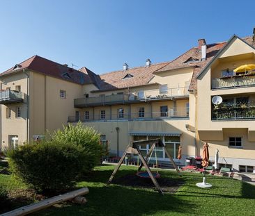 EGGENBURG XI - Photo 2