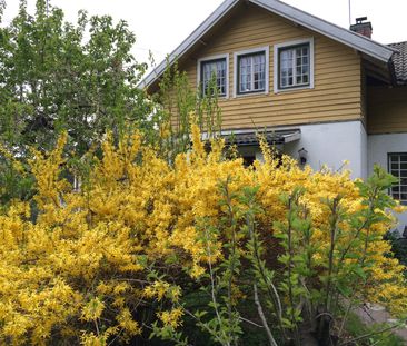 Trasthagen, Lidingö - Photo 6
