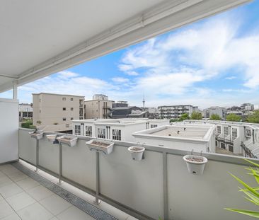 Great Grey Lynn Location - Photo 4