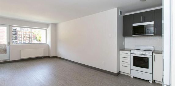 1 CH - 1 SDB - Outremont près Laurier - $1,360 /mo - Photo 2