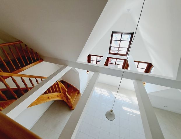 MIETE: Ober-Ingelheim, Studio-Wohnung mit 4-Zimmern, EBK und einen Stellplatz - Foto 1