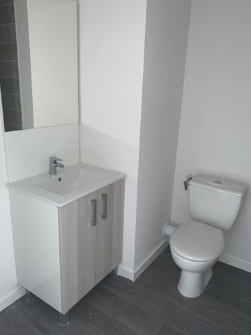 Location Appartement 1 pièce 19m² AUZEVILLE TOLOSANE 31320 - Photo 5