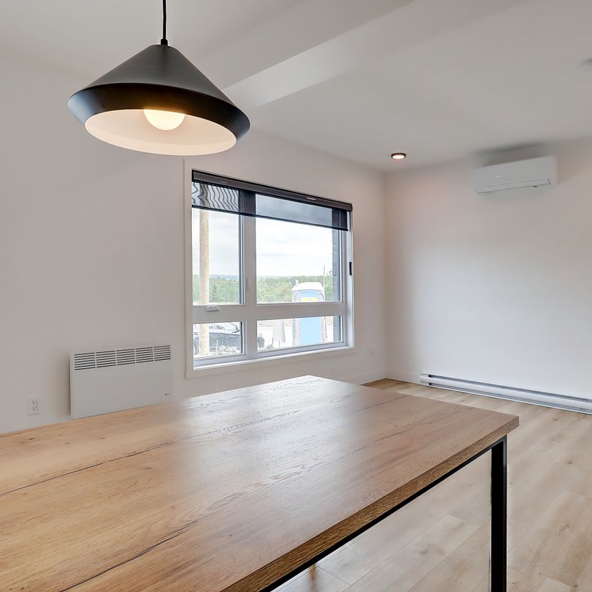 55, rue Michel-Robidoux #102, East-Angus - Photo 1